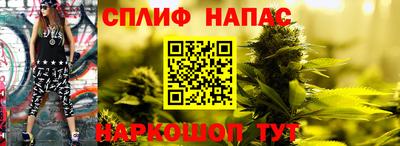 СК Нальчик