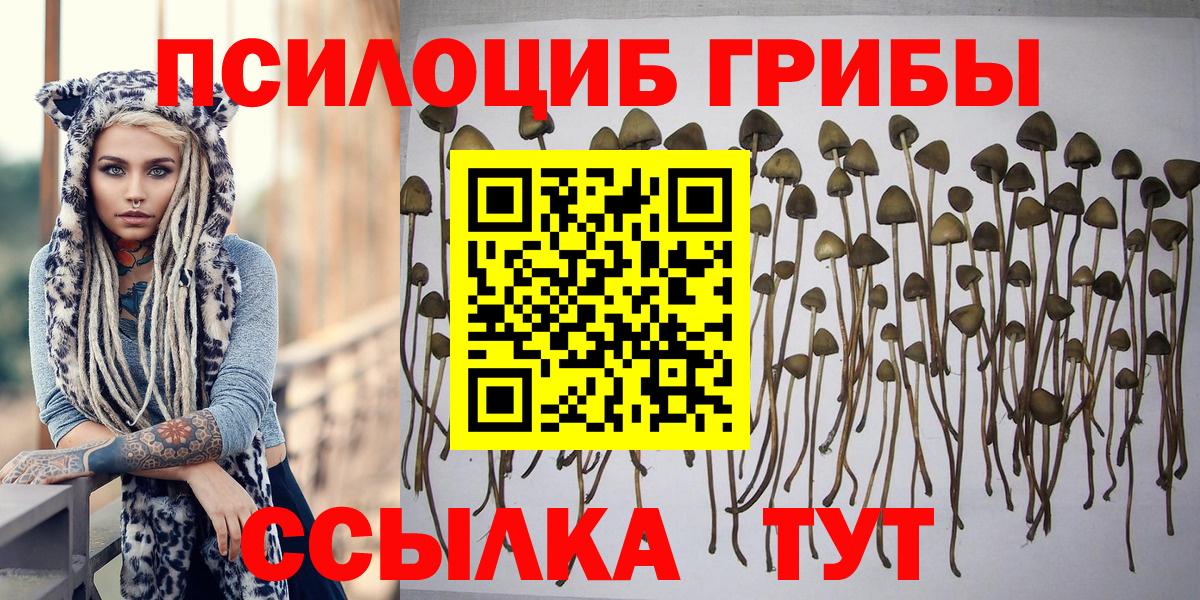 закладки  Псилоцибиновые грибы Psilocybe  Вход с VPN  Галлюциногенные грибы мухоморы  Орск 