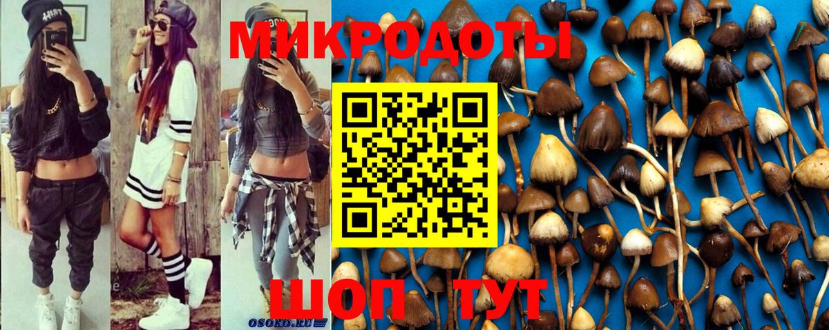 Галлюциногенные грибы Psilocybine cubensis Орск