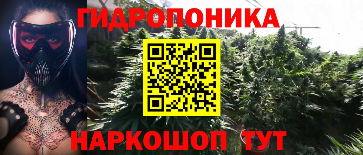 Конопля семена  Вход с VPN  Канабис Ganja  Орск 